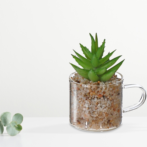 Maison Concepts Artificiel Succulent En Verre Tasse Asstd - Ensemble De 2