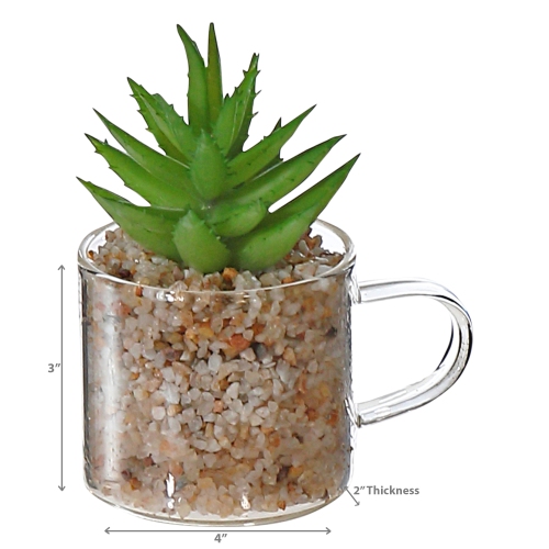 Maison Concepts Artificiel Succulent En Verre Tasse Asstd - Ensemble De 2
