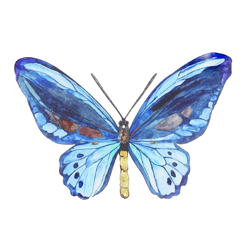 MAISON CONCEPTS  Metal Butterfly Wall Decor In Blue