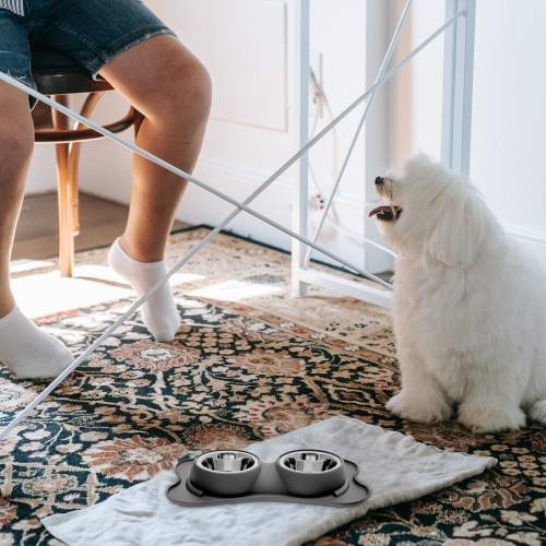 Maison Concepts Bone Shaped Anti Spillage Double Pet Bowl Gray