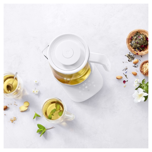 ZWILLING Enfinigy 1.7 L Glass Programable Electric Kettle - Silver