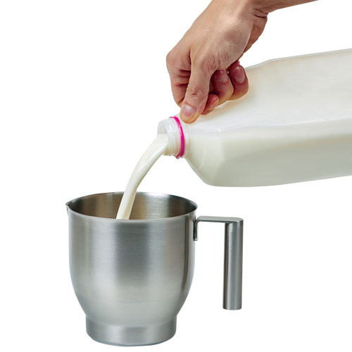 Capresso Froth Select Automatic Milk Frother - Silver/Stainless Steel
