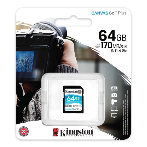 Kingston - Canvas Go Plus SD Memory Card, 128GB Capacity, Class 10, UHS-I, U3, V30