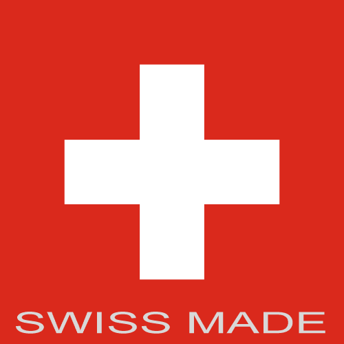 Festina F20017/3 Swiss Made Leather Watch In Black