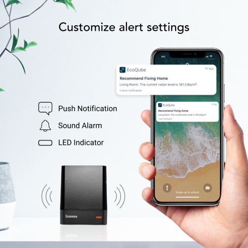 Ecosense EQ100 EcoQube, Digital Radon Detector, Fast Capture of Fluctuating Levels, Short & Long-Term Continuous Monitoring with Trend Charts, Remote