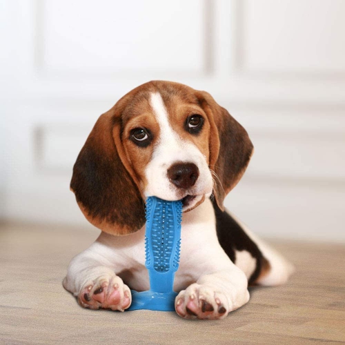 Dog chewy outlet toothbrush