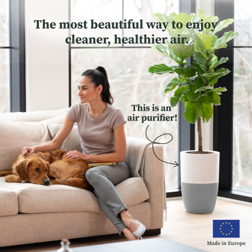 Dupray Bloom™ Air Purifier | Medical-Grade HEPA-13 Air Filtration With Integrated Planter