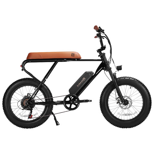 best 500 watt electric bike