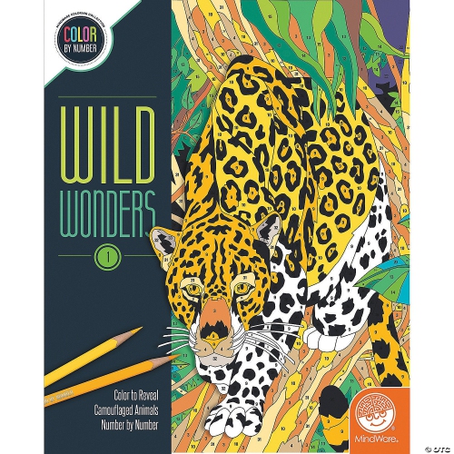 MINDWARE  - Wild Wonders - Book 1