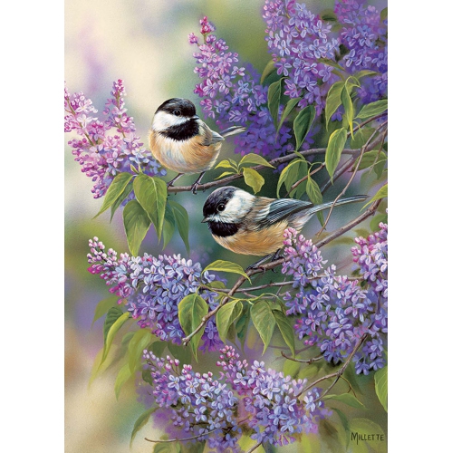Cobble Hill - Chickadee Duo