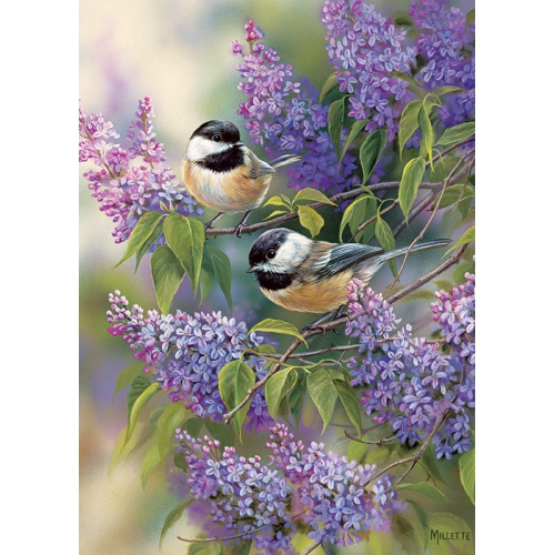Cobble Hill - Chickadee Duo