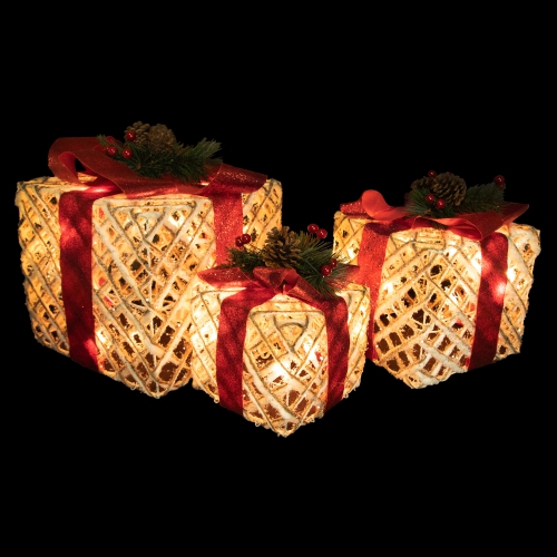 Ensemble de 3 décorations de Noël à cordon blanc lumineux de 9.75 po