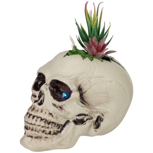 LED Lighted Succulent Skull Planter Artificial Halloween Decoration - 8.75"