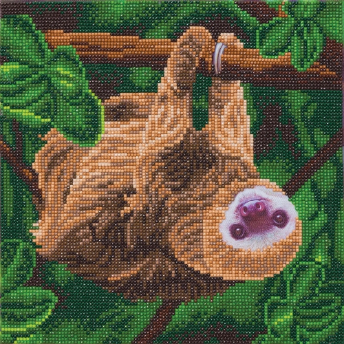 CRYSTAL ART  - Ca Kit (Medium) - Two Toed Sloth