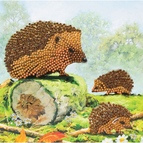 Crystal Art - CA Card - Happy Hedgehogs