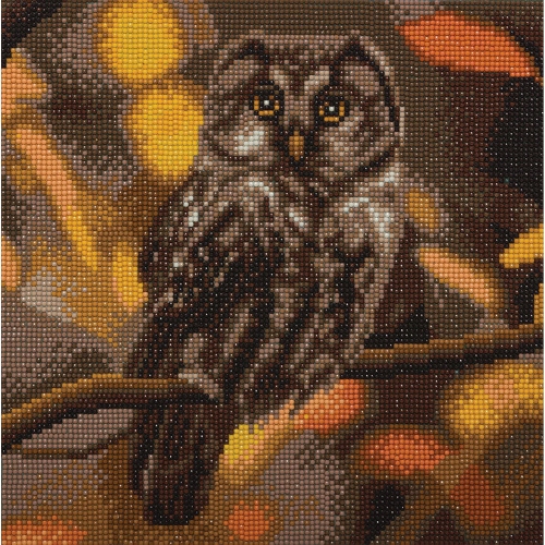 CRYSTAL ART  - Ca Kit (Medium) - Tawny Owl