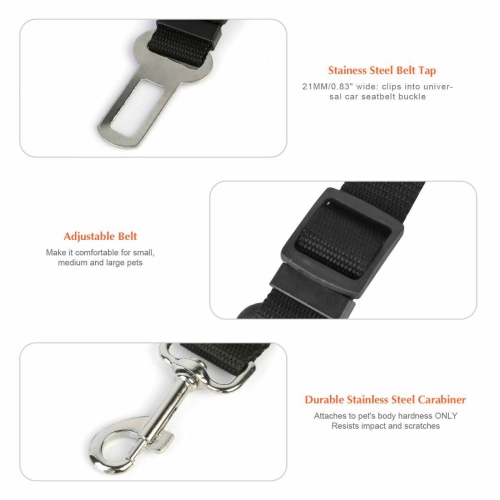 Laisse courte de rechange laisse en nylon avec crochets en acier inoxydable | Sangle réglable pour s'adapter à la longueur selon votre confort - Noir