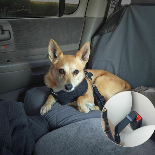 Laisse courte de rechange laisse en nylon avec crochets en acier inoxydable | Sangle réglable pour s'adapter à la longueur selon votre confort - Noir