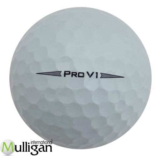 Mulligan Golf Balls 48 White Titleist Pro V1 2020 5A Recycled Used Golf Balls