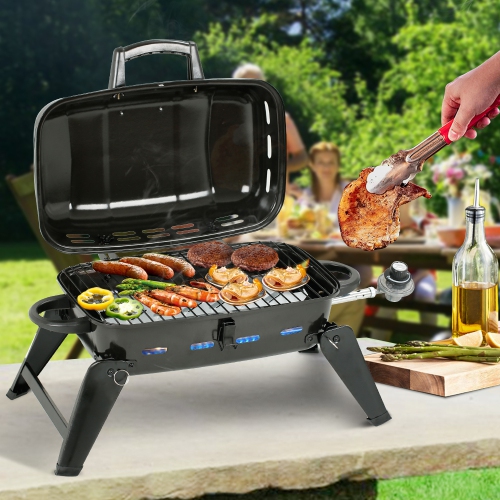 17 in. Portable Propane Grill