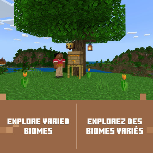 Minecraft: Deluxe Collection (Xbox Series X|S / Xbox One) - Digital Download