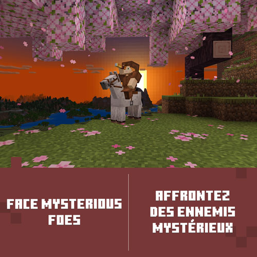 Minecraft: Deluxe Collection (Xbox Series X|S / Xbox One) - Digital Download