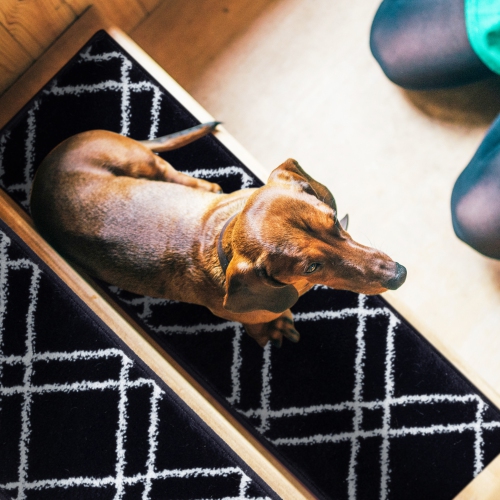 SussexHome Stair Treads - Carpet Strips for Indoor Stairs - Easy to Install with Double Adhesive Tape - Safe, 9" X 28" - 4-Pack - Navy