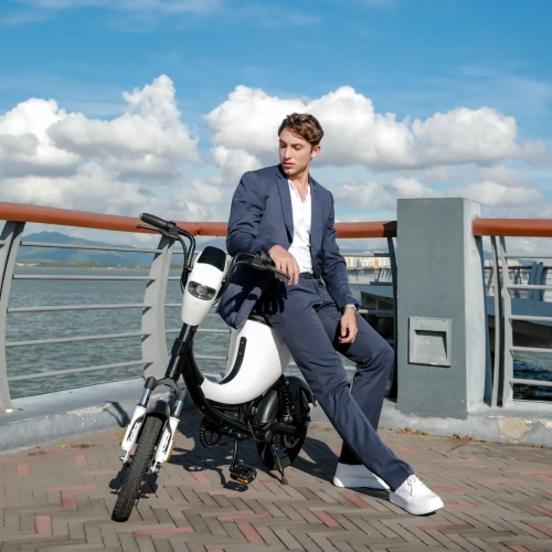 WINGOMART 14" E-Bike Electric Bike Scooter - Featuring Double Suspension, 48V/12.5Ah Battery, Up to 100km Autonomy, Up to 45km/h Speed, and 210lb