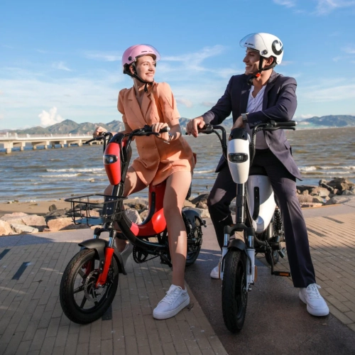 WINGOMART 14" E-Bike Electric Bike Scooter - Featuring Double Suspension, 48V/12.5Ah Battery, Up to 100km Autonomy, Up to 45km/h Speed, and 210lb