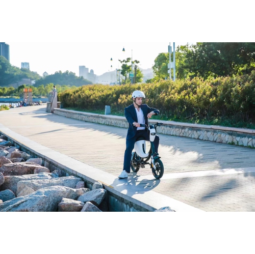 WINGOMART 14" E-Bike Electric Bike Scooter - Featuring Double Suspension, 48V/12.5Ah Battery, Up to 100km Autonomy, Up to 45km/h Speed, and 210lb