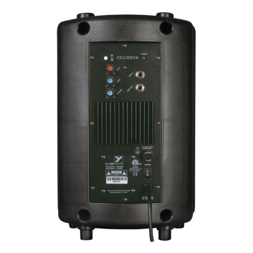 Haut-parleur amplifié compact série Coliseum de Yorkville - haut-parleur de graves 8 po - 100 W