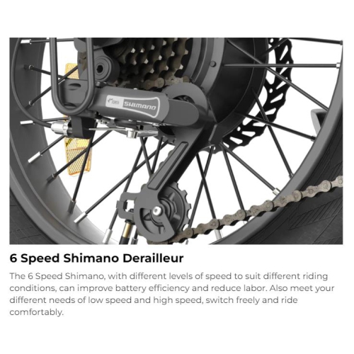 HIMO ZB20 Folding E-bike - Grey Color, Range up to 80 KM, 6-Speed Shimano Transmission, 4" Fat Tire, 3 level pedal assist, 48V/10Ah Battery, HD LCD