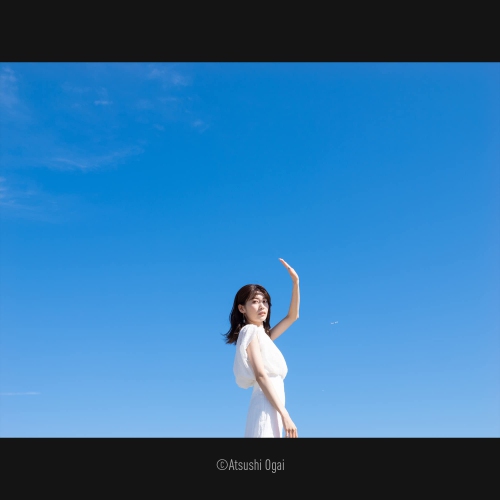 Panasonic DG Vario-Elmarit 12-35mm f/2.8 ASPH. POWER O.I.S.