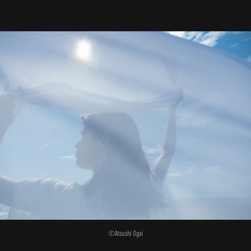 Panasonic DG Vario-Elmarit 12-35mm f/2.8 ASPH. POWER O.I.S.