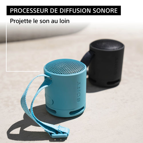 Haut-parleur sans fil Bluetooth étanche SRS-XB100 de Sony - Gris pâle