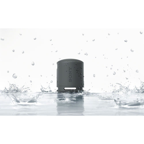 Sony SRS-XB100 Waterproof Bluetooth Wireless Speaker - Black