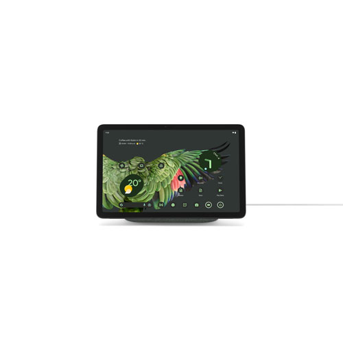 Google Pixel 11
