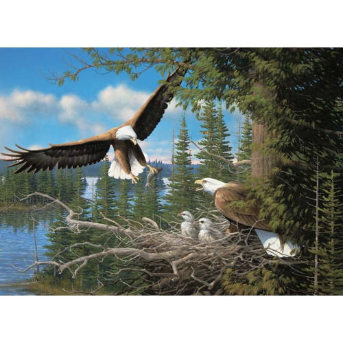 Puzzle Nesting Eagles 1000 pc