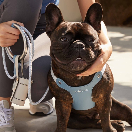 VOOCOO OOTD Dog Harness with Metal Leash Set M