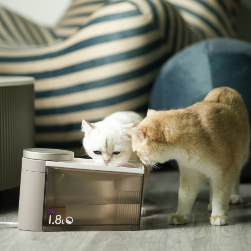 Fontaine d'eau pour animal de compagnie à stérilisation automatique Flow de VOOCOO