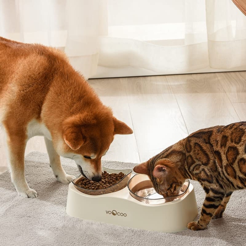VOOCOO Wave Elevated Pet Food & Water Bowl Duo