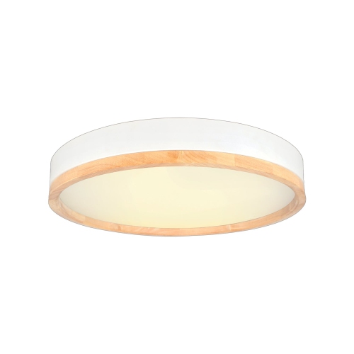 Xtricity - Ceiling Light with Integrated LED, 19.7" Diameter, From the Valentine Collection, White