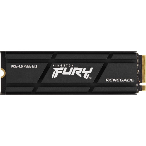 Kingston FURY Renegade Solid State Drive
