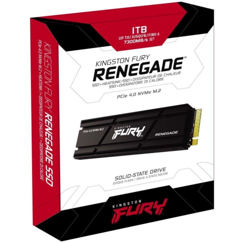 Kingston FURY Renegade Solid State Drive