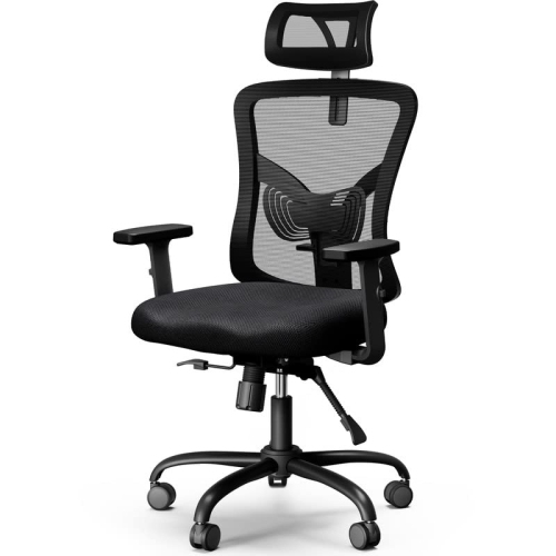 Huanuo Ergonomic Office Computer Chair with High Mesh Back, Adjustable Armrest, Lumbar Support & Headrest - Black