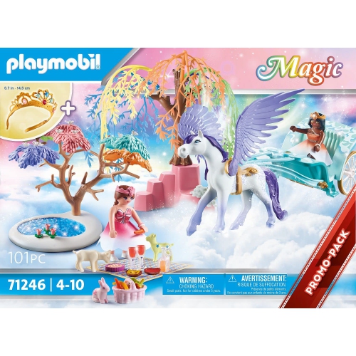 Magic: Picnic with Pegasus Carriage