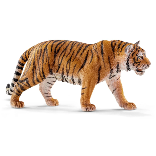 Wild Life : Tigre