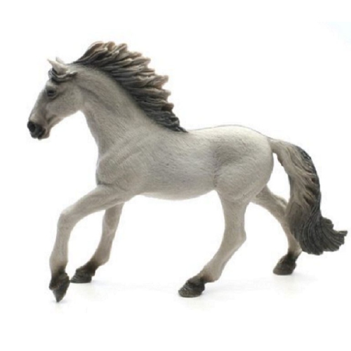 Farm World: Sorraia Mustang Stallion