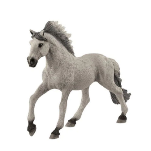 Farm World: Sorraia Mustang Stallion