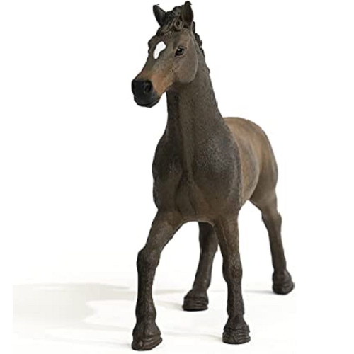 Horse Club: Oldenburger Stallion